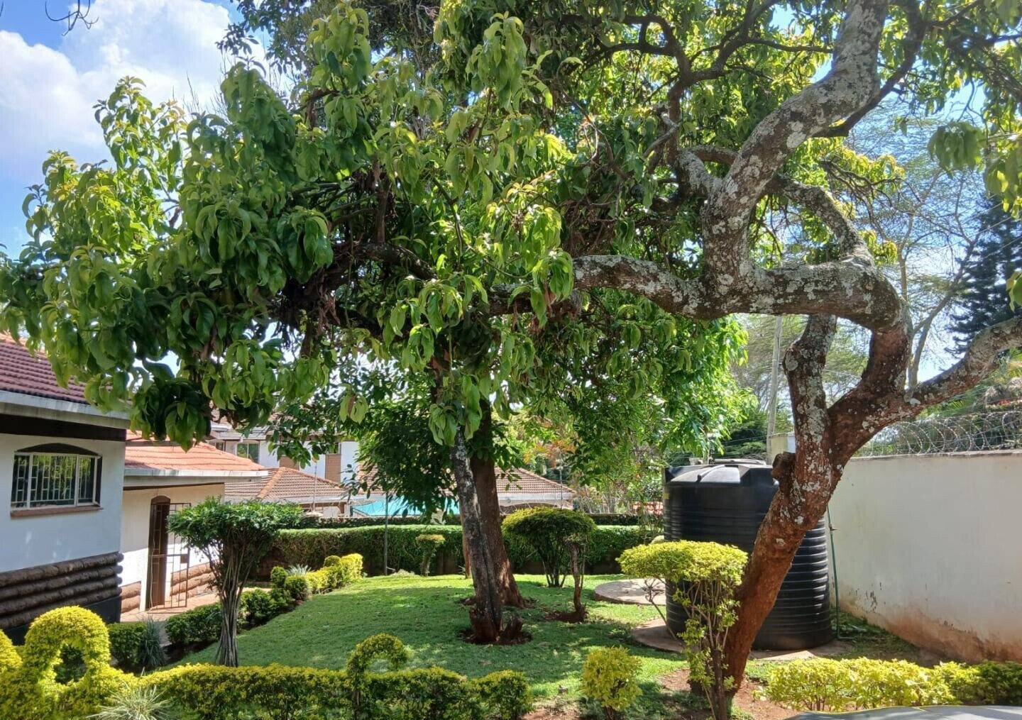 50x100 Garden Home at KSh 350K