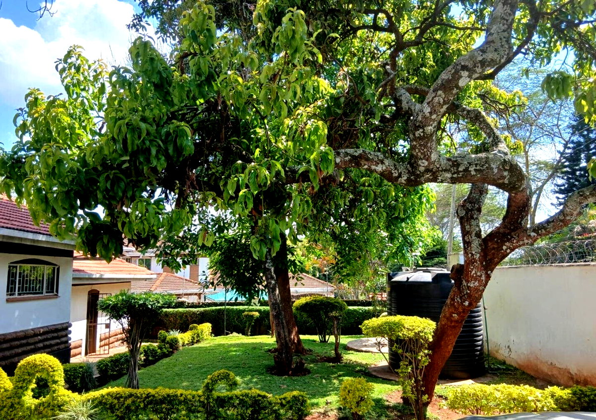 50x100 Garden Home at KSh 350K