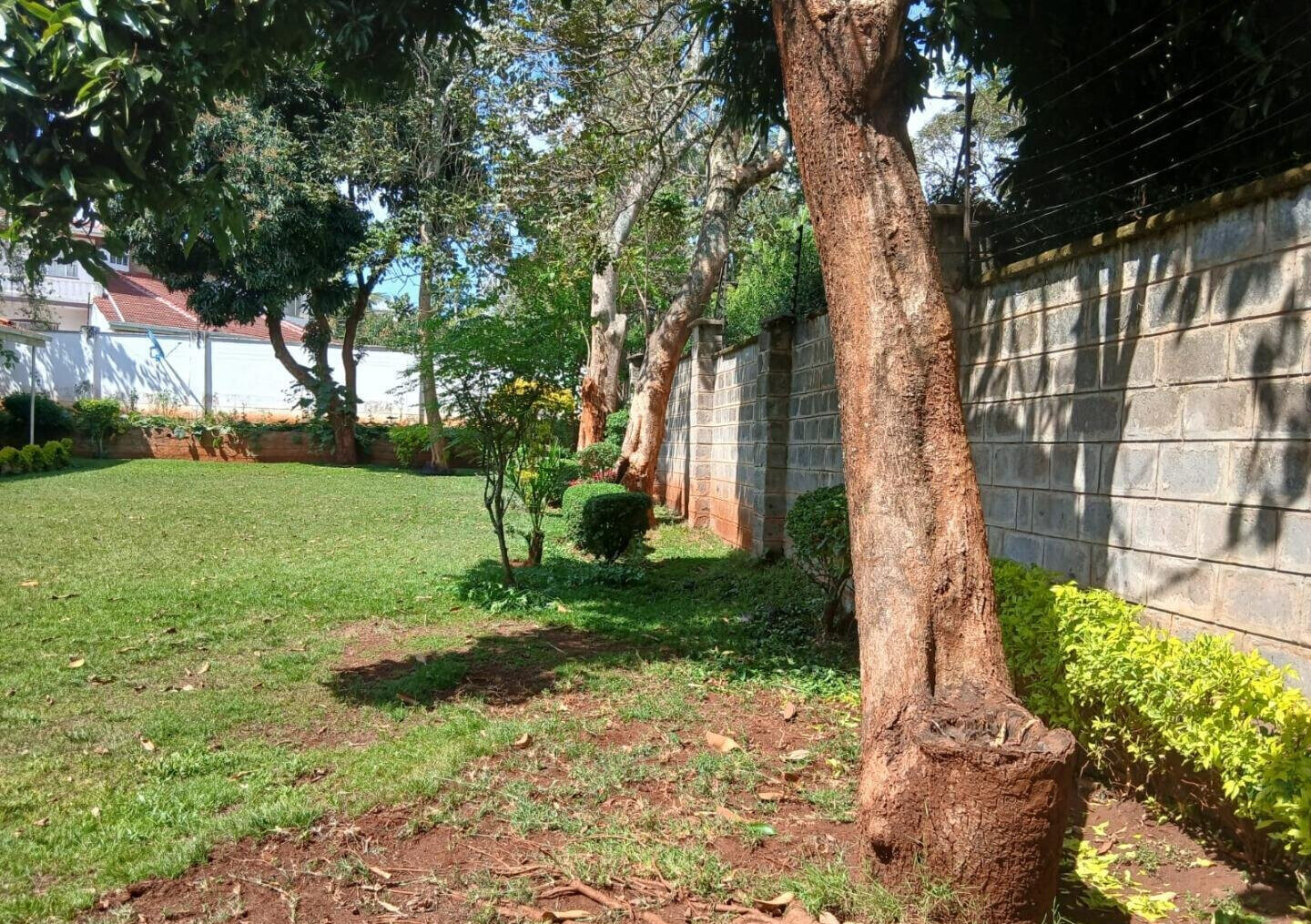 50x100 Garden Home at KSh 350K