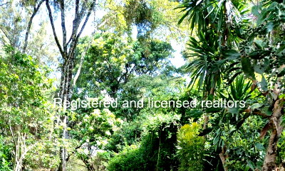 1-Acre Garden Plot in Karen