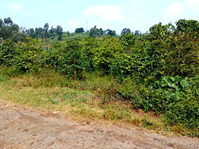 3.5 Acres Tinganga - Image 3