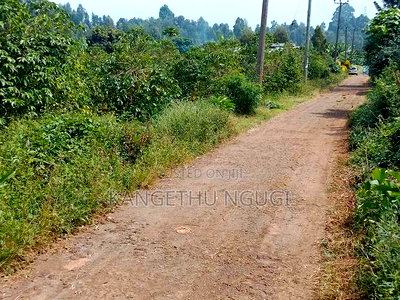 3.5 Acres Tinganga - Image 5