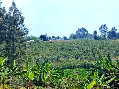 3.5 Acres Tinganga - Image 7
