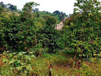 3.5 Acres Tinganga - Image 4