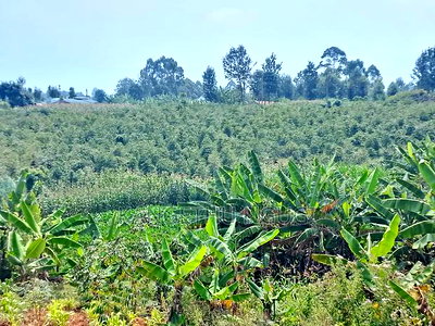 3.5 Acres Tinganga - Image 6