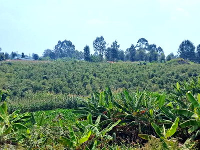 3.5 Acres Tinganga - Image 8