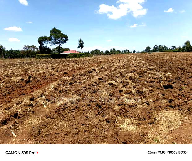 One Acre Kaptuli 50 Meters From Tarmac.