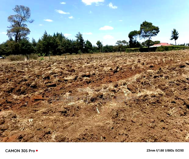 One Acre Kaptuli 50 Meters From Tarmac.