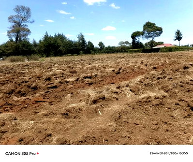 One Acre Kaptuli 50 Meters From Tarmac.