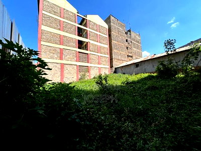 Zimmerman-Mirema Near Deliverance Church - Image 5