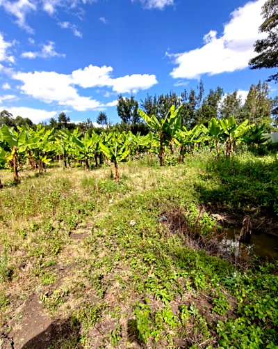 1/8 Acre Garden Plot with Parking at KSh 4M