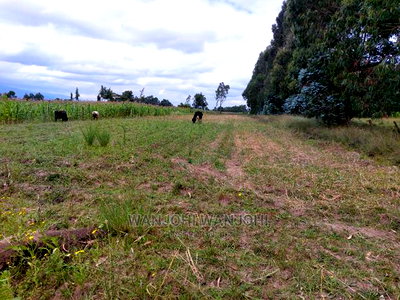 Exquisite 1/8 Plots in Olkalou - Image 1