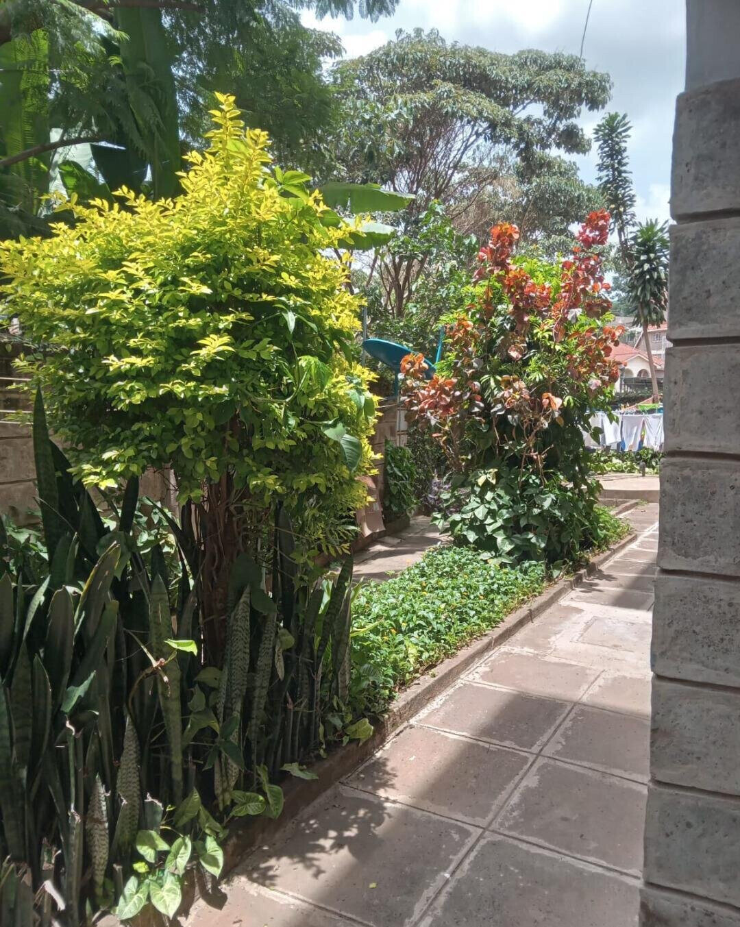 KSh 25K 1BR Garden Home
