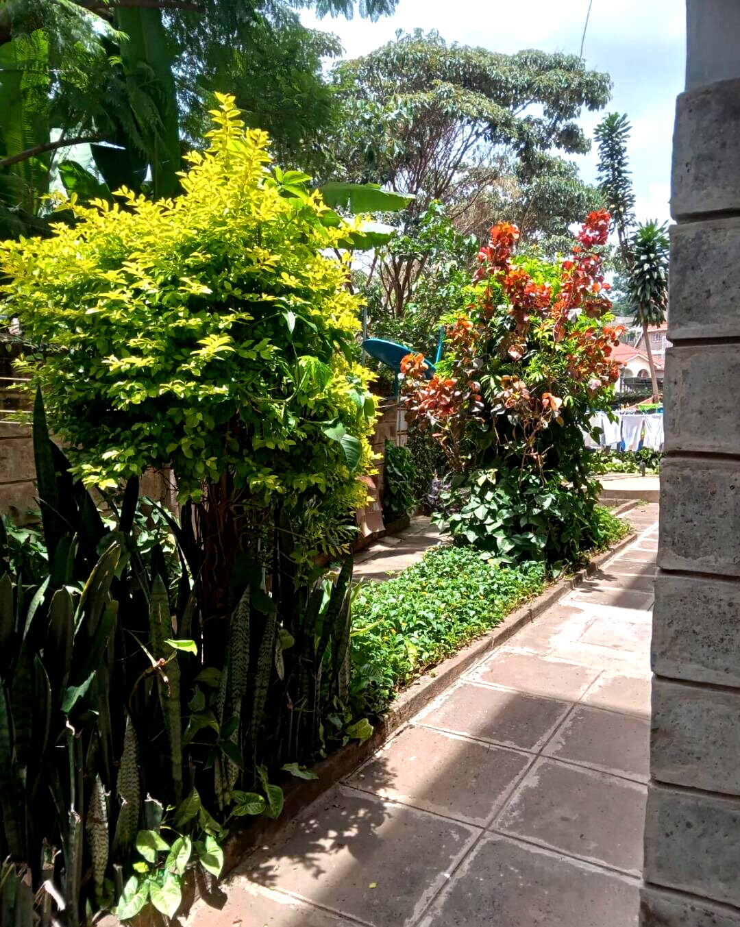 KSh 25K 1BR Garden Home
