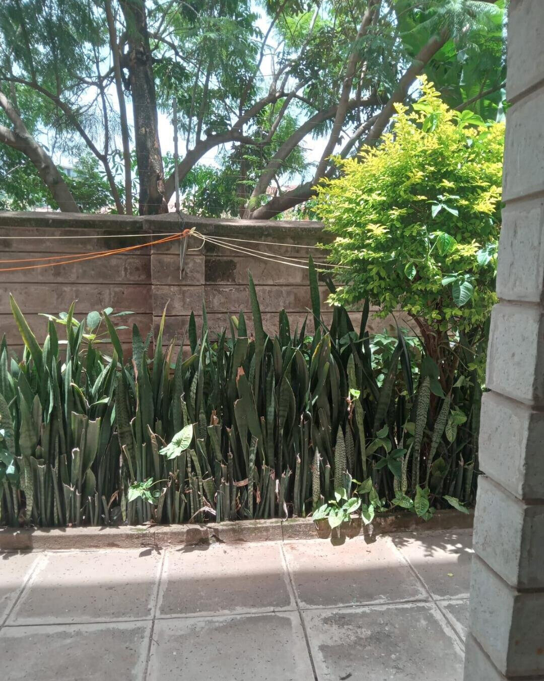 KSh 25K 1BR Garden Home