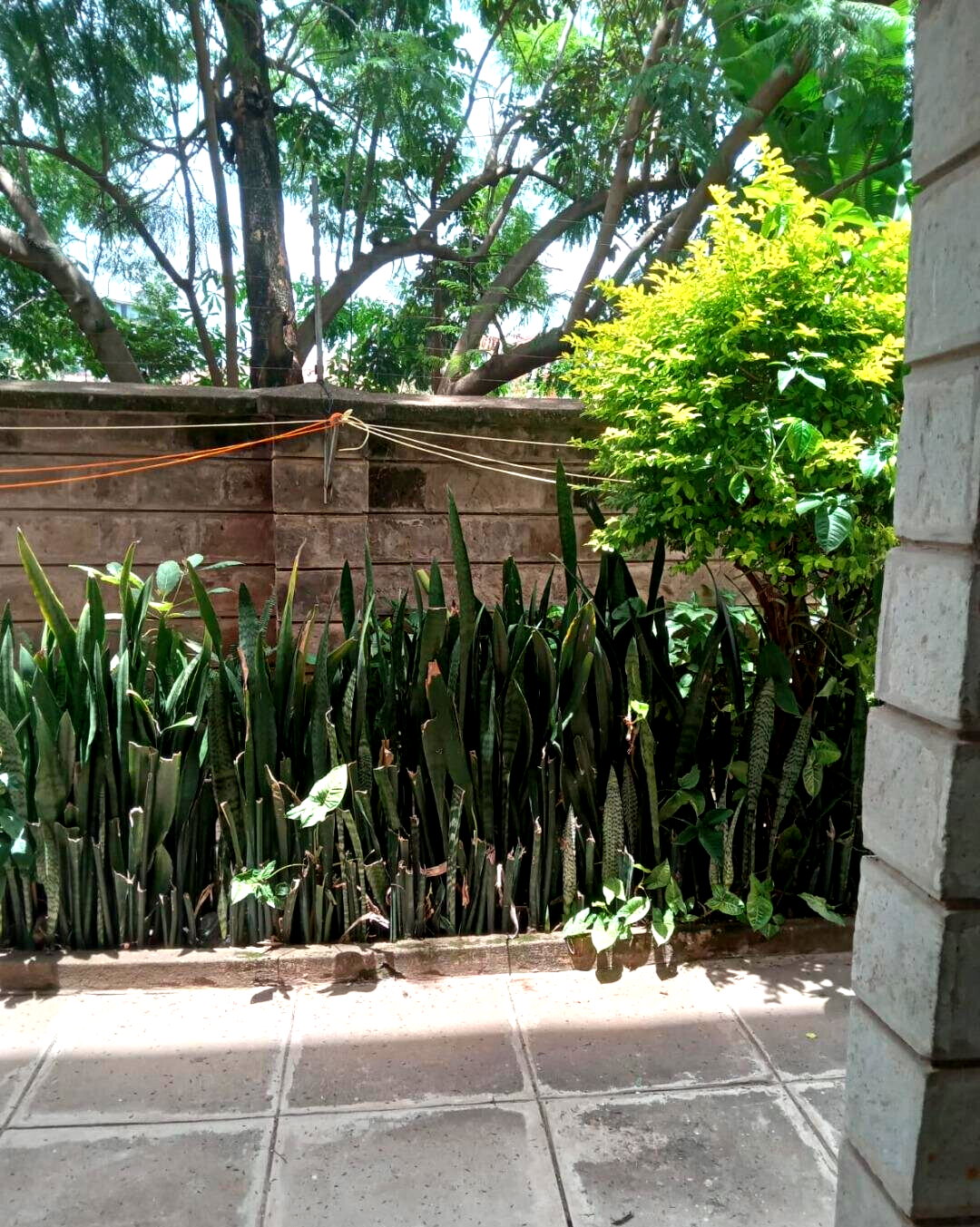 KSh 25K 1BR Garden Home