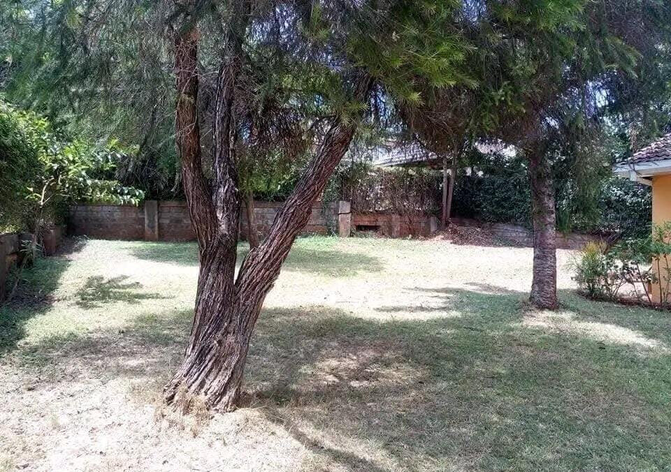 Spacious 4BR with Garden at KSh 185K