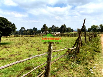 Prime Plot for Sale in Limuru, Kamirithu. - Image 6