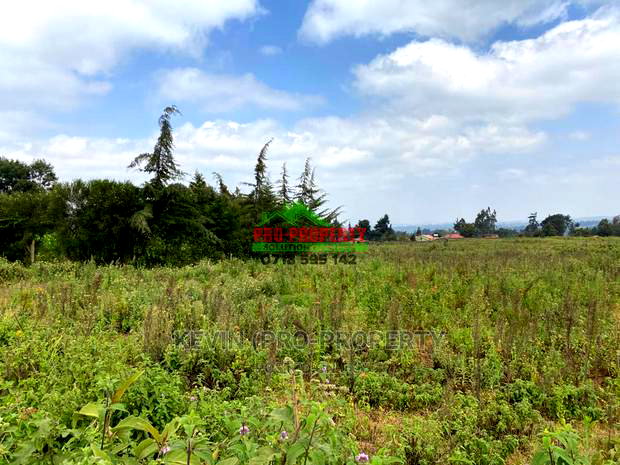 Prime Plot for Sale in Limuru, Kamirithu.