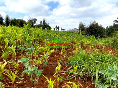 Prime Plot for Sale in Limuru, Kamirithu. - Image 12