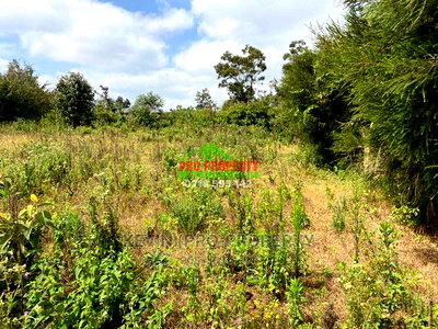 Prime Plot for Sale in Limuru, Kamirithu. - Image 11