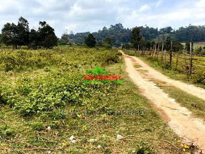 Prime Plot for Sale in Limuru, Kamirithu. - Image 14