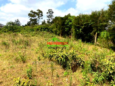 Prime Plot for Sale in Limuru, Kamirithu. - Image 15