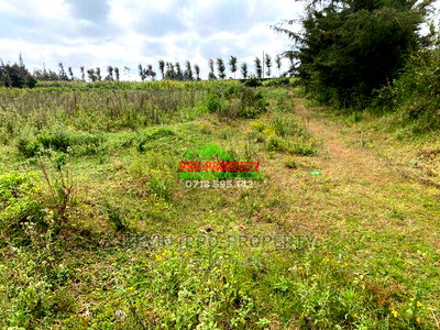 Prime Plot for Sale in Limuru, Kamirithu. - Image 9