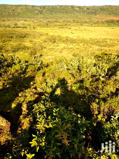 100 Acres Ilkisumeti(Near Eremit) - Image 4