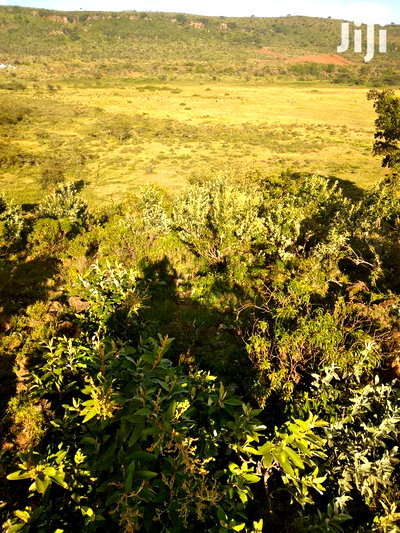 100 Acres Ilkisumeti(Near Eremit) - Image 2