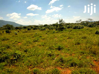 100 Acres Ilkisumeti(Near Eremit) - Image 5