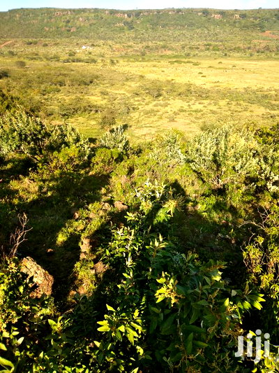 100 Acres Ilkisumeti(Near Eremit) - Image 3