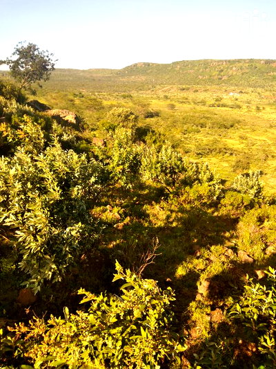 100 Acres Ilkisumeti(Near Eremit) - Image 6