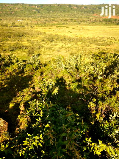 100 Acres Ilkisumeti(Near Eremit) - Image 7