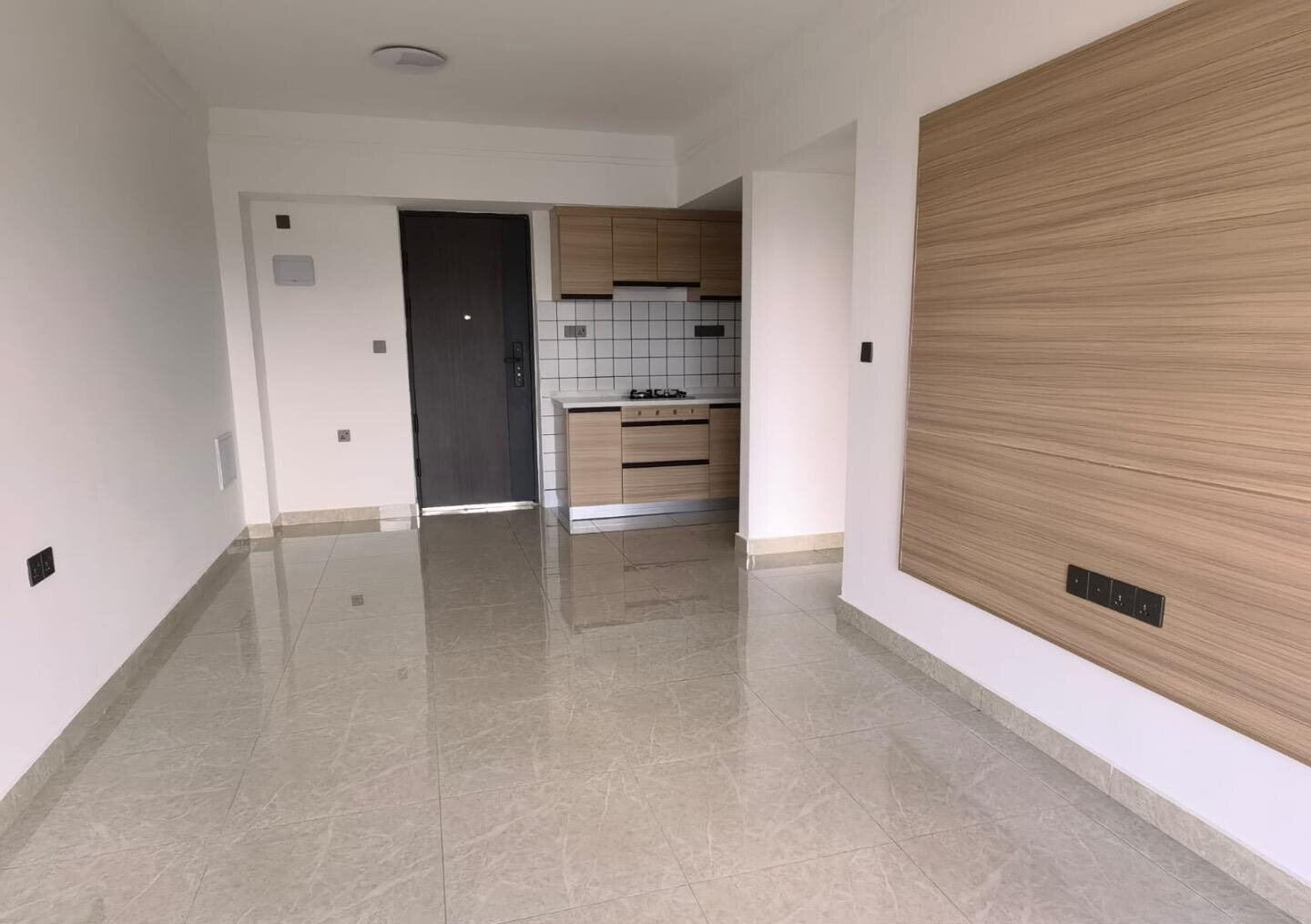 Executive 1BR with KES 50K Monthly Income - Ruaka