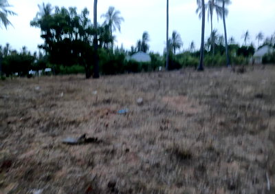 1-Acre Land in Dabaso, Watamu for KSh 6.5M