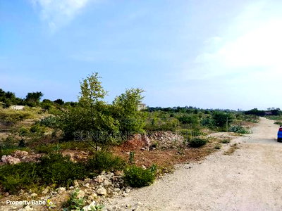 Bofa Plots for Sale - Image 5