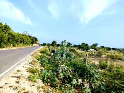 Bofa Plots for Sale - Image 2