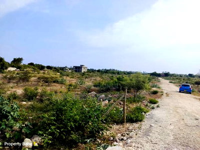 Bofa Plots for Sale - Image 6