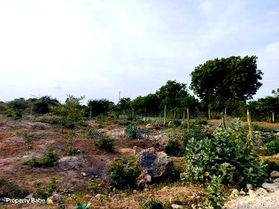 Bofa Plots for Sale - Image 3