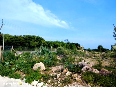 Bofa Plots for Sale - Image 4