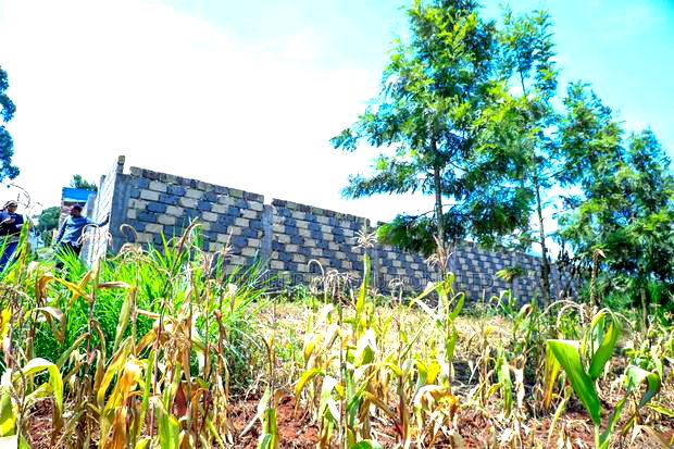 Prime 1/4-Acre Residential Plot for Sale Kikuyu, Thamanda