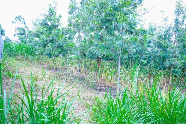 Prime 1/4-Acre Residential Plot for Sale Kikuyu, Thamanda