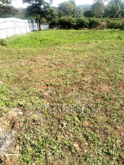 Karen Hardy 1ac Plot for Sale - Image 2