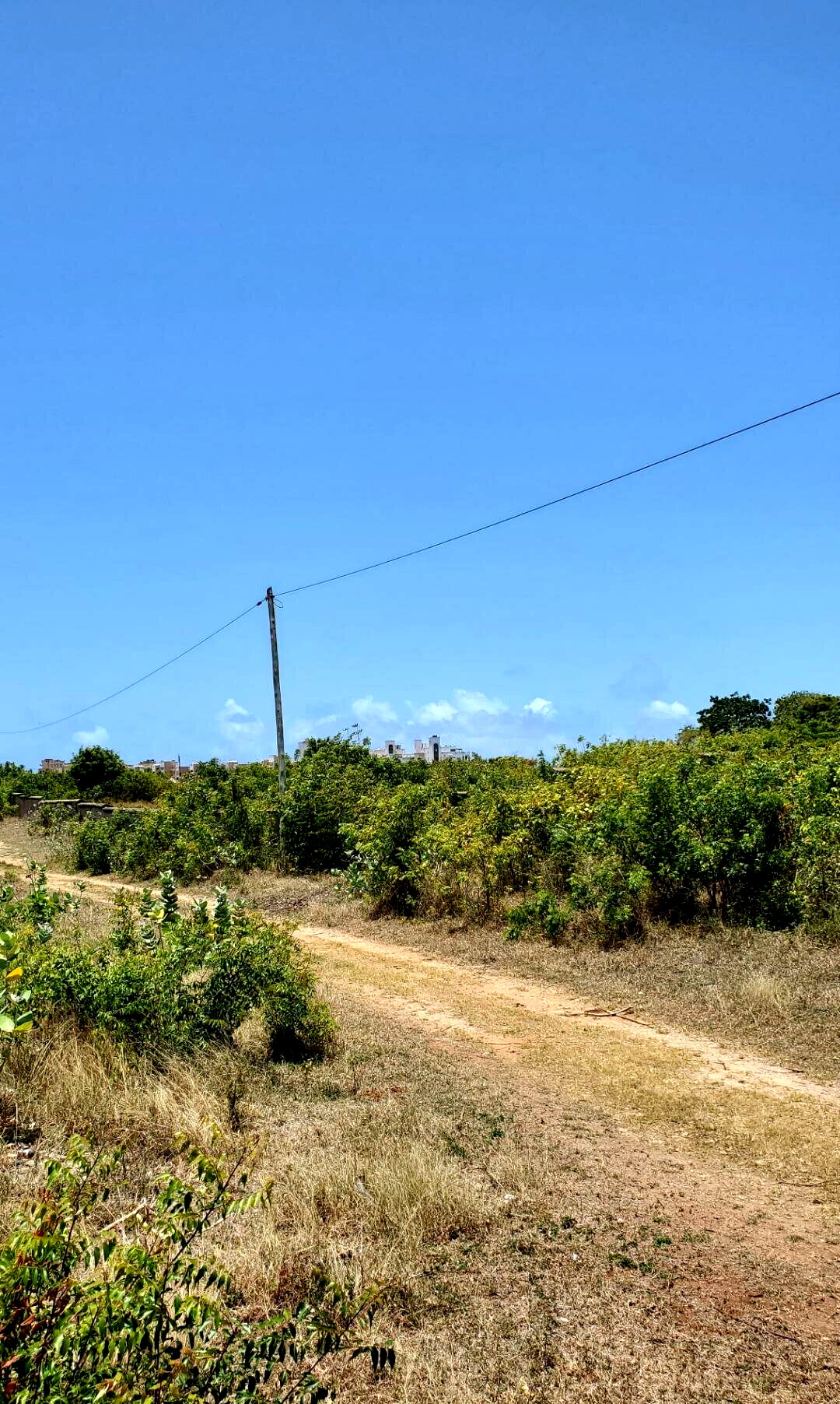 2-Acre Shanzu Gem for KSh 65M
