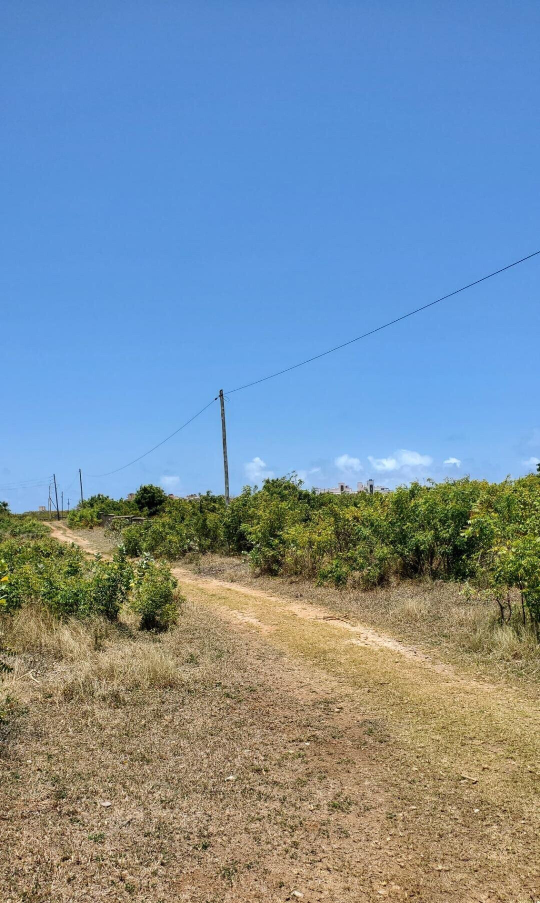 2-Acre Shanzu Gem for KSh 65M