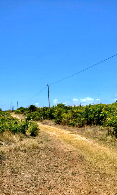 2-Acre Shanzu Gem for KSh 65M