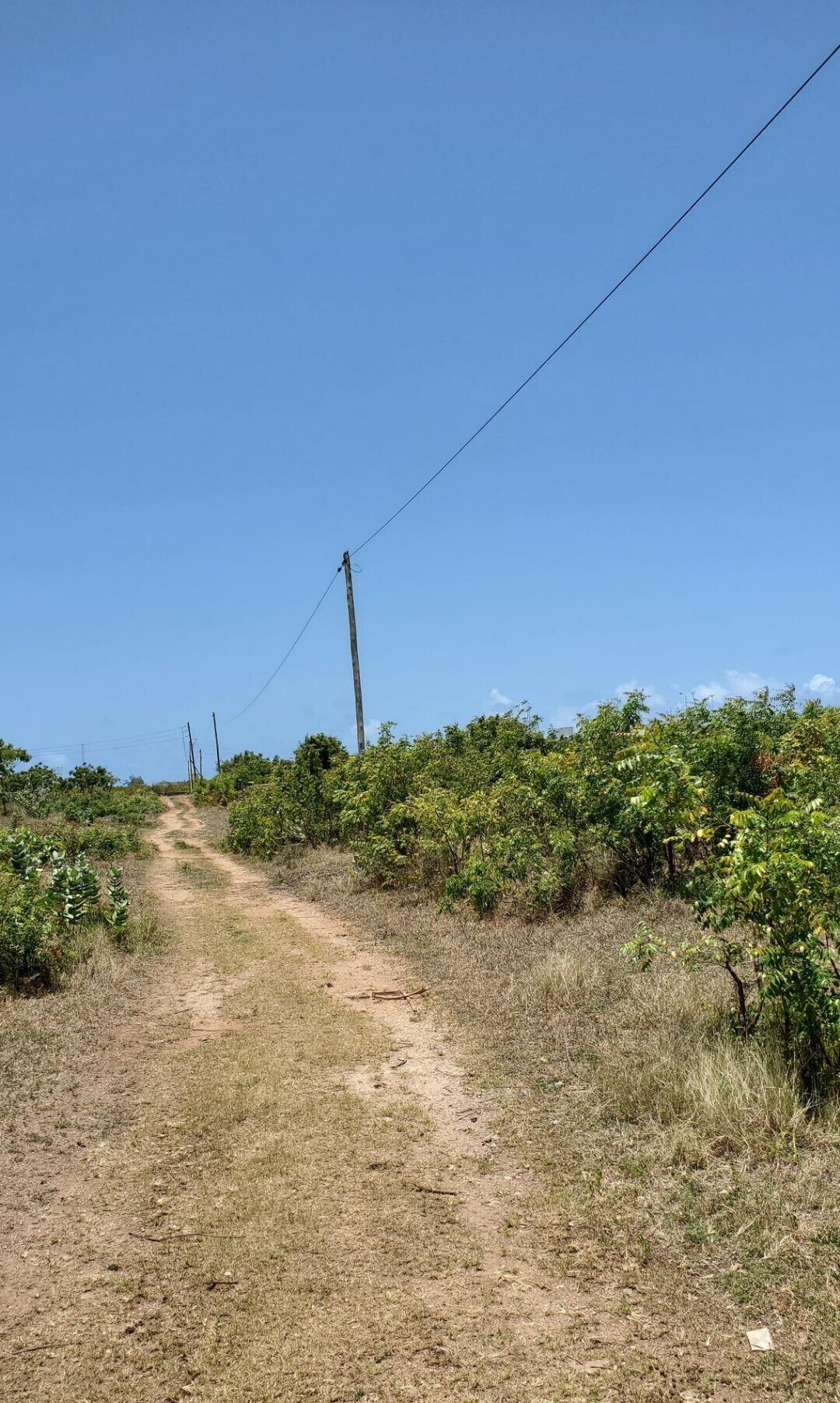 2-Acre Shanzu Gem for KSh 65M