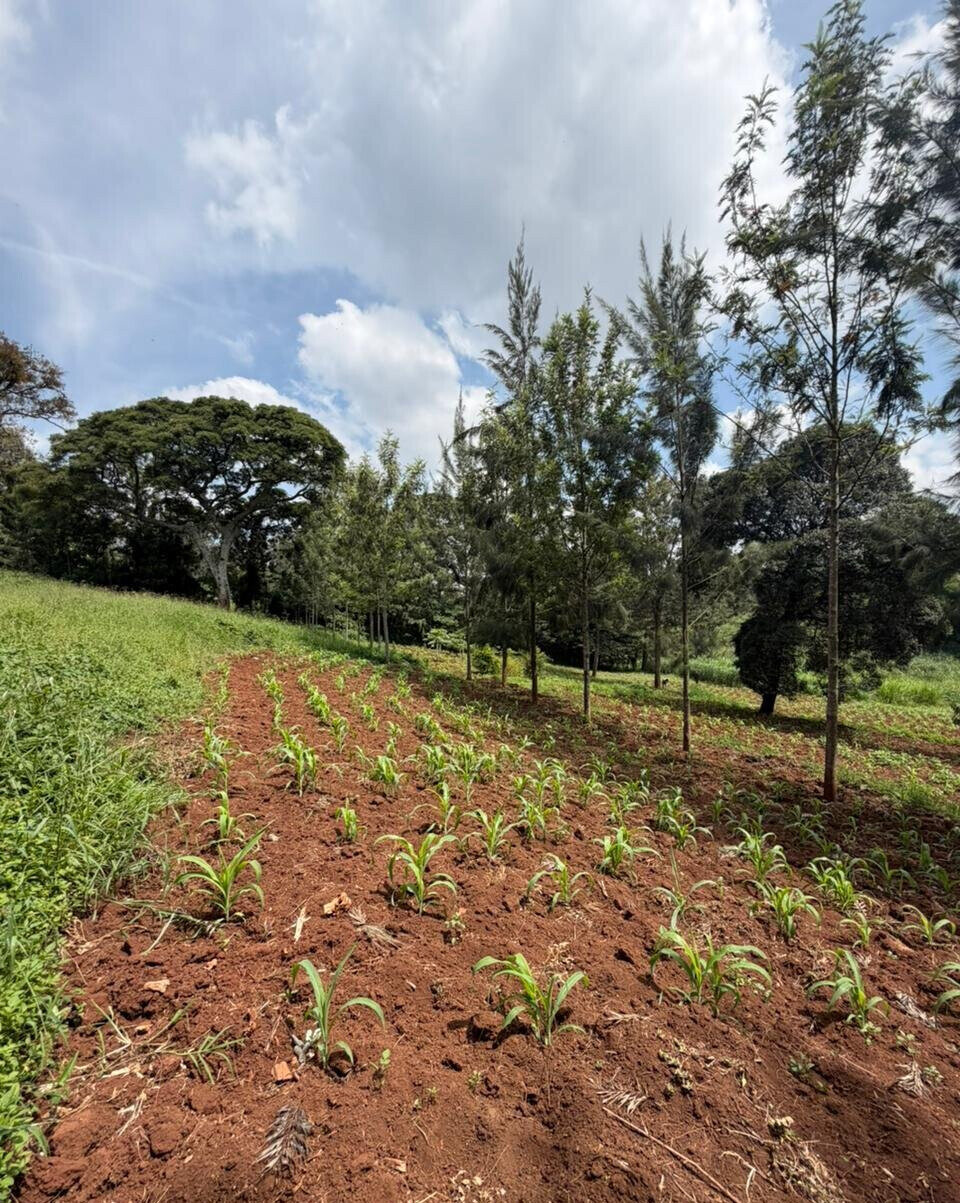 1-Acre Plot at KSh 82M