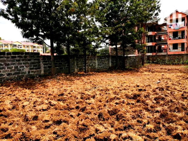 1/4 Acre Plot With 2 Houses in Kiamunyi for Sale
